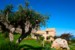 LE JARDIN